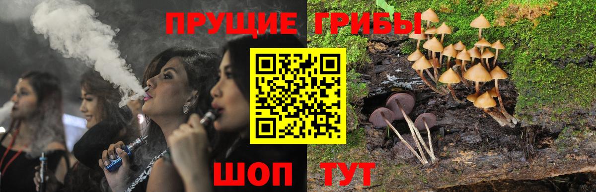 Псилоцибиновые грибы Magic Shrooms Сокол