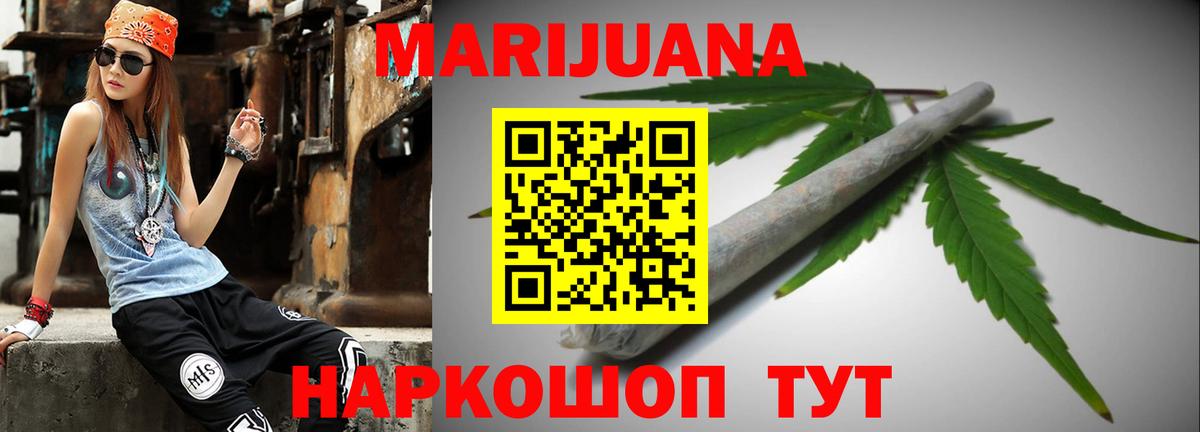 Бошки Шишки планчик Сокол